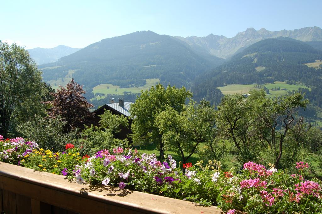 Grossberghof Villa Taxenbach Ngoại thất bức ảnh